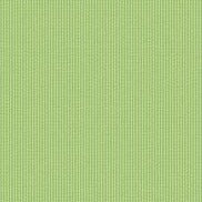 Perforated Dots Green