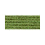 DMC Pine Green (3364)