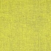 Grain of Color Blender Lime CD-18451-006