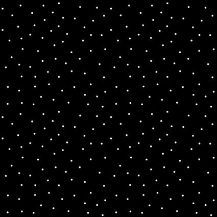 108" Quilt Backs Dots Black - MASQB203-J