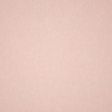 Basic Recycled Canvas Pink - 2024-14