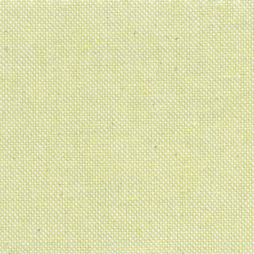 Basic Recycled Canvas Neon Green - 2024-15