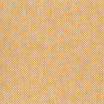 Basic Recycled Canvas Gold - 2024-9