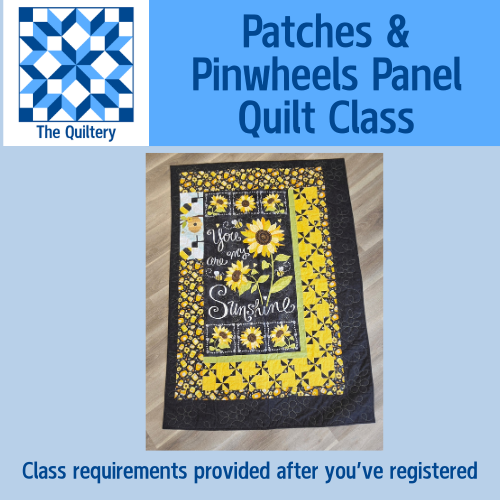 TCBQ Class - Patches and Pinwheels Panel Quilt Class (June 20 and 27 2025)