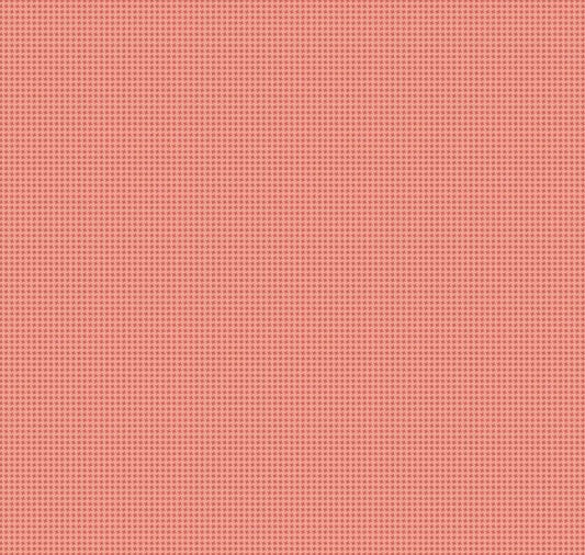 Anne of Green Gables Gingham Red