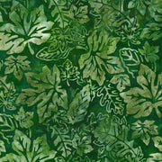 Auburn Evergreen
