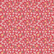 Autumn Cosmos Riley Red