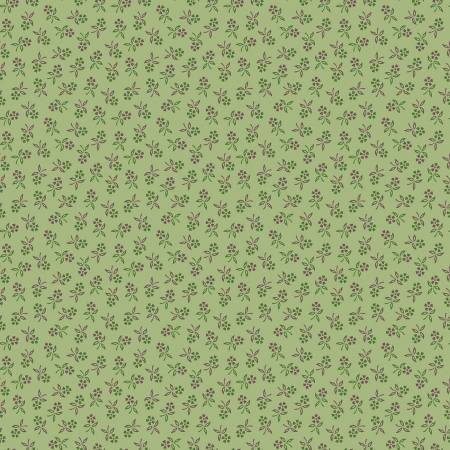 Autumn Perennial Lettuce