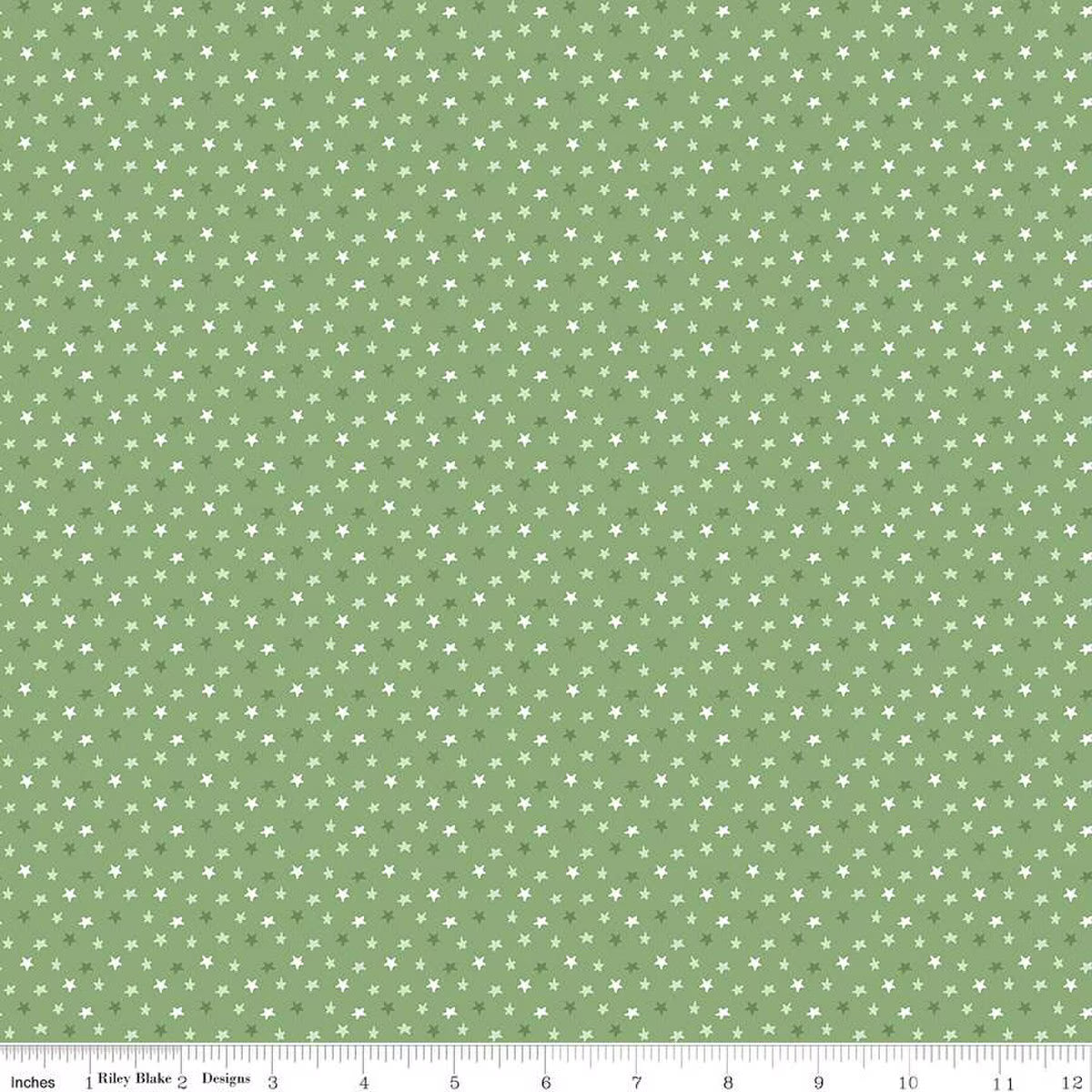 Baby Boy Stars Basil