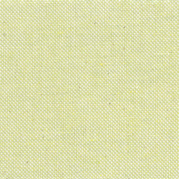 Basic Recycled Canvas Neon Green