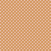 FQ Bee Dots Verona Cider