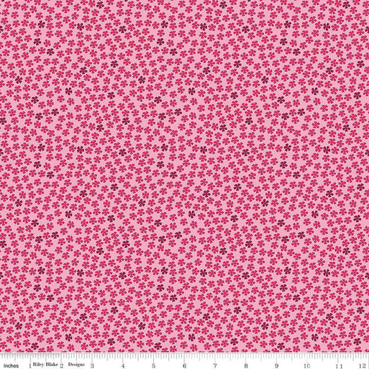 Perennial - Mini Rose