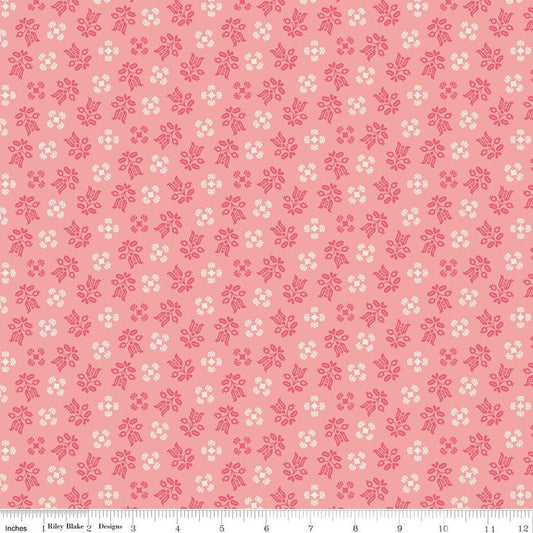 Piece & Plenty Gentle Coral