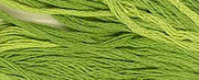 Classic Colorworks - Frog Legs (211)