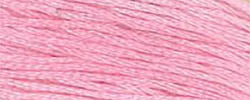 Classic Colorworks - Pink Posey (024)