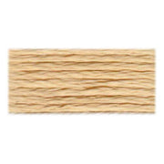 DMC Satin Floss -  (S738)