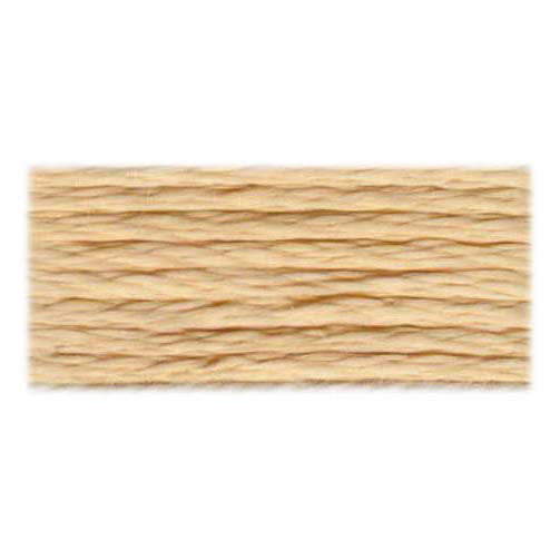 DMC Satin Floss -  (S738)