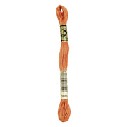 DMC  Floss Light Orange Spice (3883)