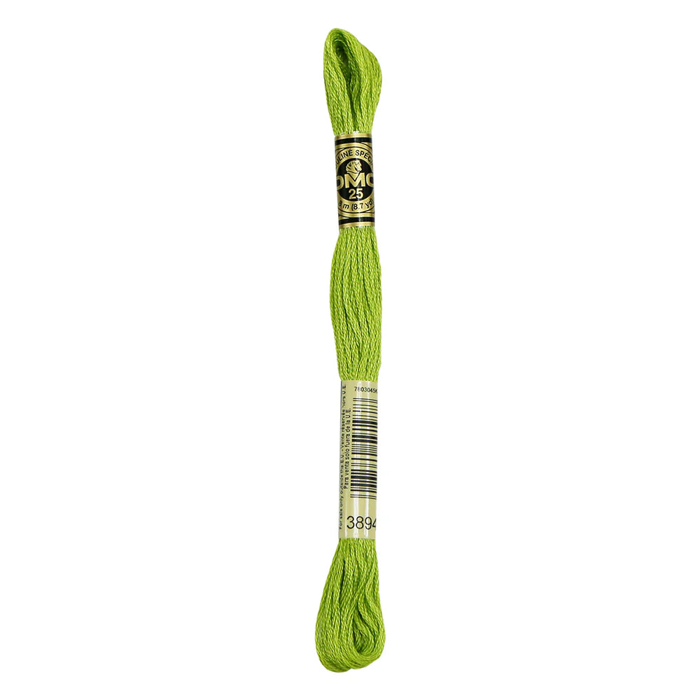 DMC  Floss Light Parrot Green (3894)