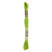 DMC  Floss Light Parrot Green (3894)