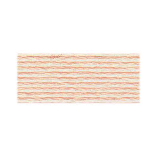 DMC  Floss (3770)