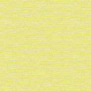 Dear Stella Moonscape Endive