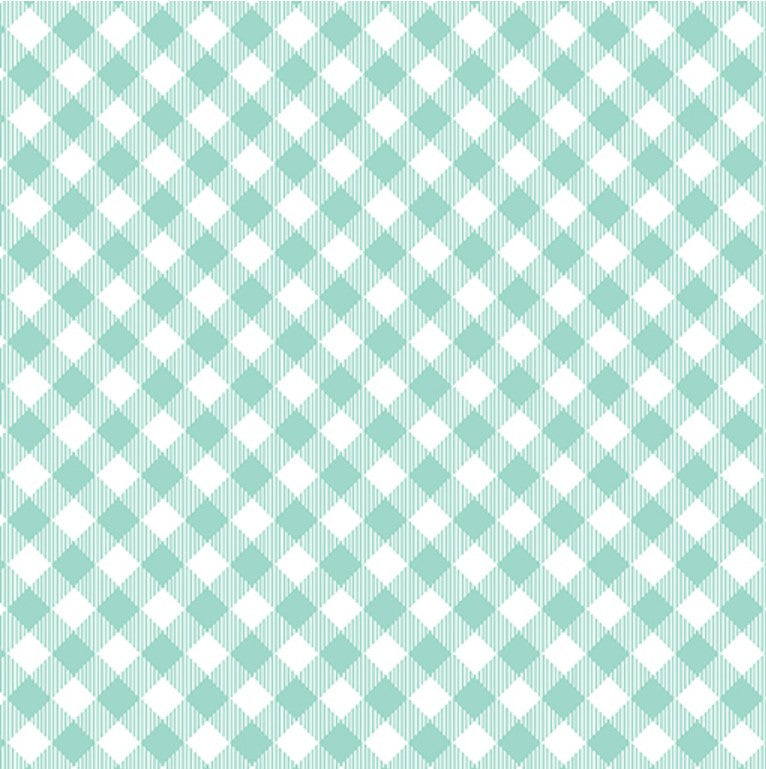 Enjoy The Ride Gingham Plaid Aqua