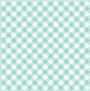 Enjoy The Ride Gingham Plaid Aqua
