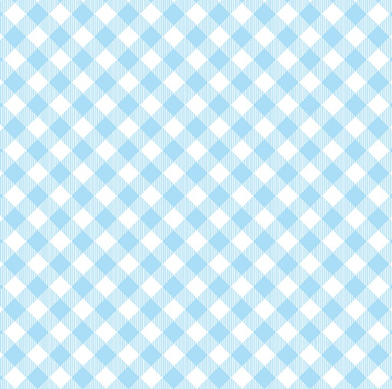FQ Enjoy The Ride Gingham Plaid Blue