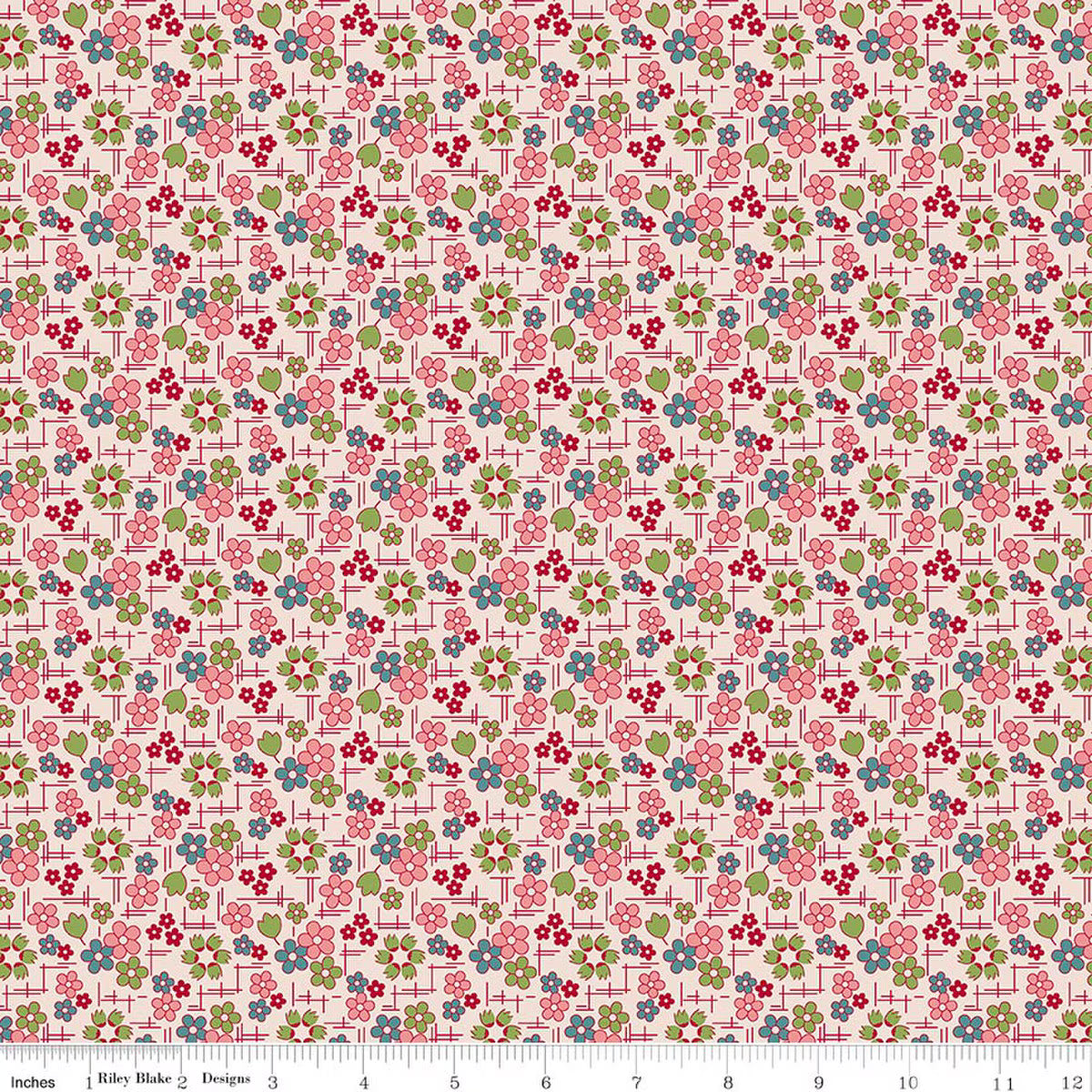 Farmers Daughter Daisy Coral