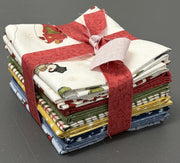 Friends & Flakes Fabric Bundle (13FQ)