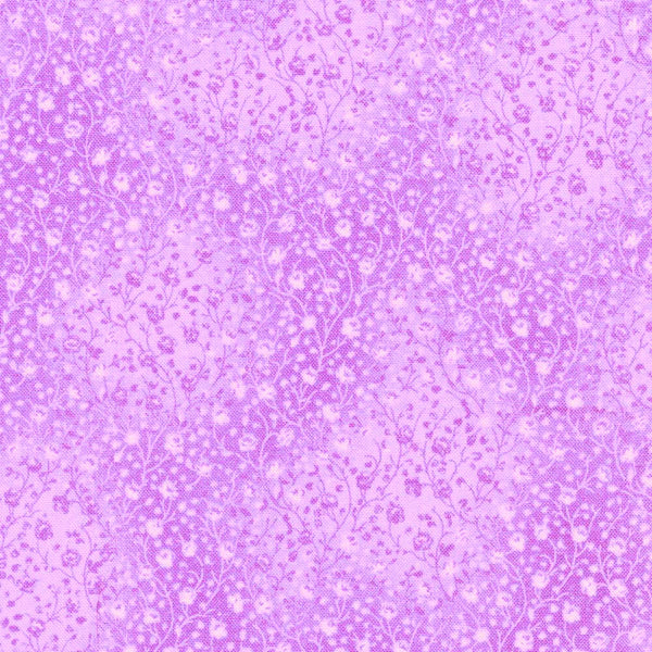 Fusions 4 Orchid
