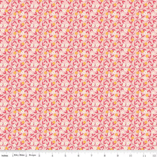 Gentler Times Gracious Coral