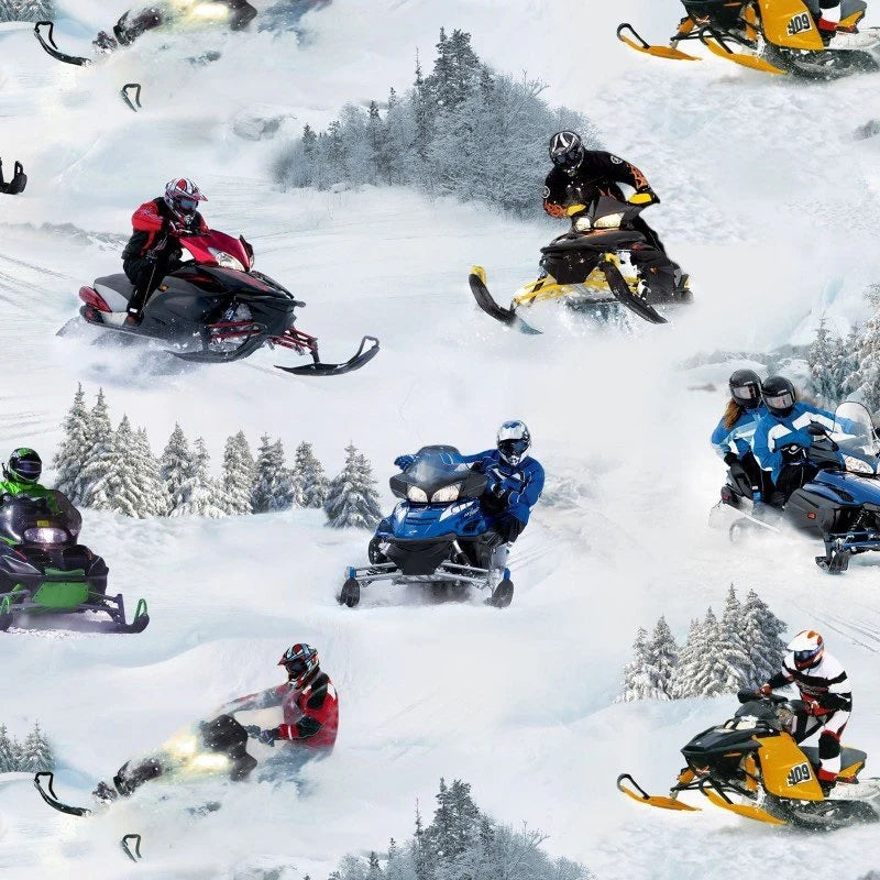 In Motion Snowmobilies White