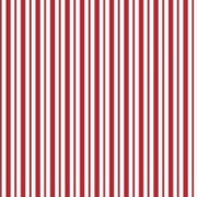 FQ Red Mini Awning Stripe