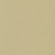 Kona Cotton Limestone