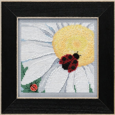 Mill Hill Ladybug on Daisy (2021)