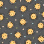 Another Day Another Sunrise Gray