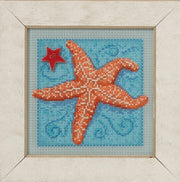 Mill Hill Starfish (2016)