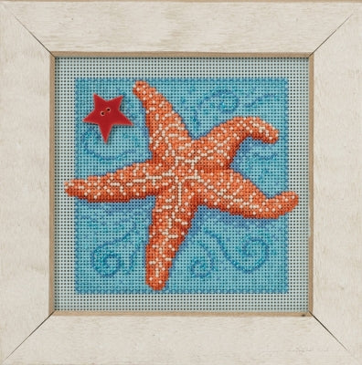 Mill Hill Starfish (2016)