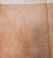 Evenweave - Mocha Parchment (28 count)