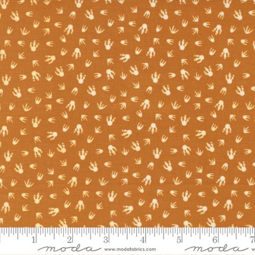 Stomp Stomp Roar Footprint  Lava