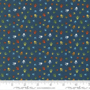 Stomp Stomp Roar Footprint  Teal