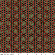 Northern Christmas Stars Black