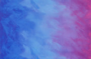 Ombre Pansy