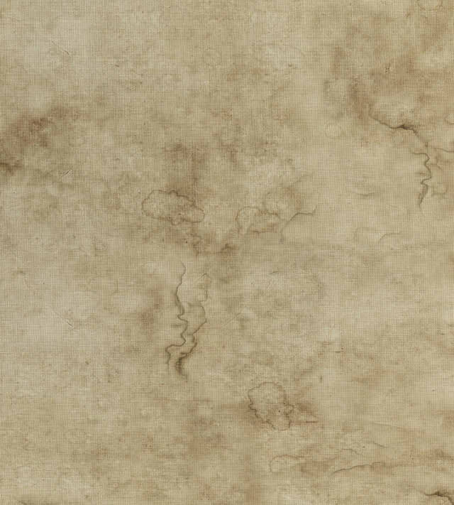 Aida - Parchment  (14count)