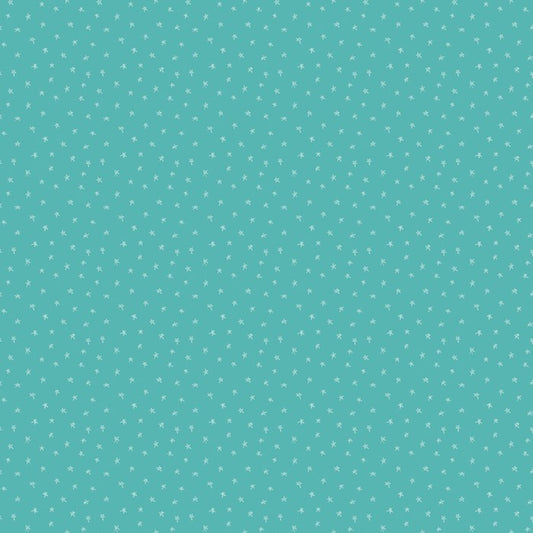 Pets Stars Teal