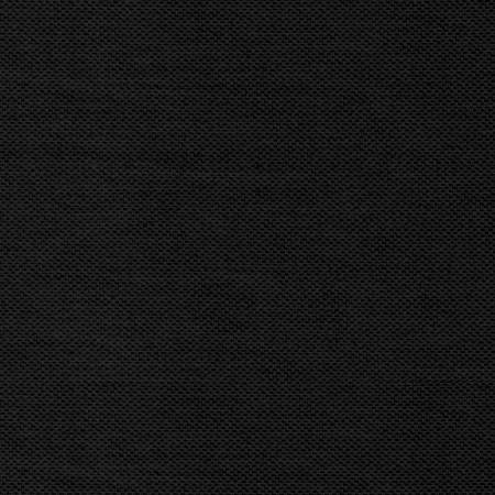 Primo Plaids Flannel Black