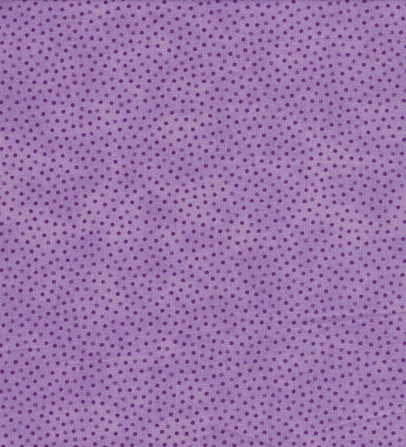 QC Extra Wide Dots Purple  - RI8060