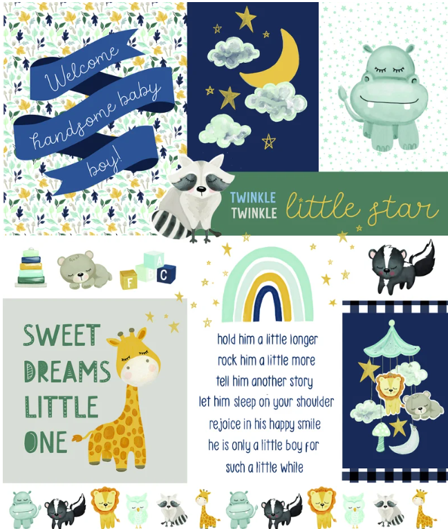 It's A Boy Panel - Riley Blake Designs - P13255